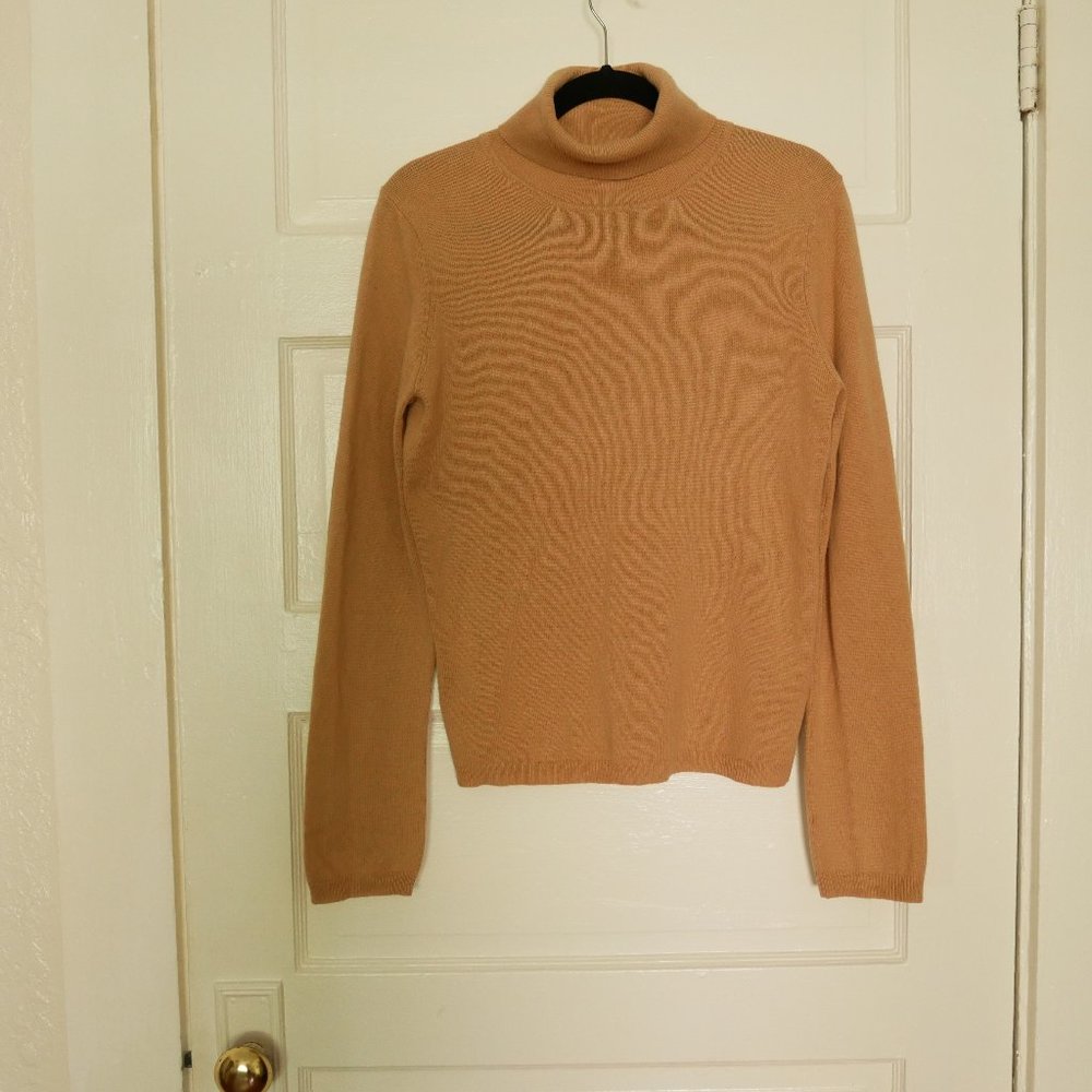 Silk and Cashmere BCBGMaxAzria Turtleneck Sweater